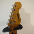 YAMAHA EG 112 C