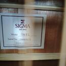 Sigma guitars dmel