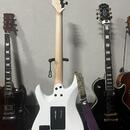 Schecter Sun Valley Super Shredder FR Sustainiac + Tremmory 