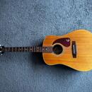 Gibson Epiphone PR-350