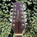 Takamine GJ72CE-12-NAT