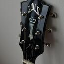 Elektrická Kytara Guild S-100 Polara Black 