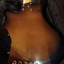 Lakland USA Dual J 5