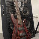 Spector NS Pulse Cinder Red + fishman fluence