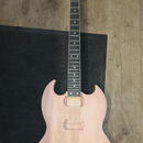 DIY SG typ