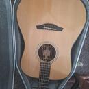 Levoruka kytara FURCH Yellow D-SR