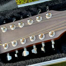 Fender CD-100-12 dvanáctistrunka