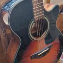 Takamine GF30CE
