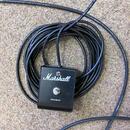 Marshall JCM600