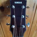 Yamaha A5R s pevným pouzdrem