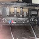 Bogner Ecstasy 3534 