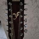 Yamaha FG 411-12