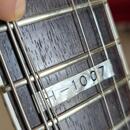 ESP LTD Deluxe H-1007 See Thru Black +SKB SCFS6 Uni Soft Cas