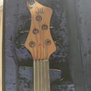 Mayones BE5 fretless