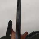 Mayones BE5 fretless