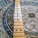 Classic Player Baja Telecaster MN Blonde 09/2007