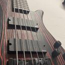 Spector NS Pulse Cinder Red + fishman fluence