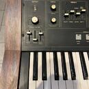 Yamaha SK 20