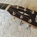 Dreadnought Cort MR 500E OP