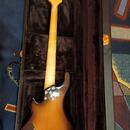 Lakland USA Dual J 5