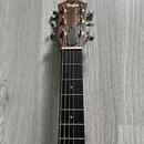 Taylor GS Mini Rosewood + příslušenství