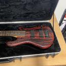 Spector NS Pulse Cinder Red + fishman fluence