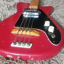 JOLANA BASS IV. + HLAZENÉ STRUNY