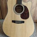 Dreadnought Cort MR 500E OP