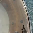 Prodám snare Black Panther Mapex Cherry bomb 13x5,5(třešeň)