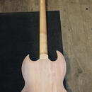 DIY SG typ
