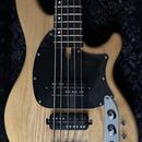 Baskytara 5 strun SCHECTER 