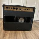 Marshall JCM 800