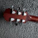 Gibson Epiphone PR-350