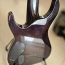 ESP LTD Deluxe H-1007 See Thru Black +SKB SCFS6 Uni Soft Cas
