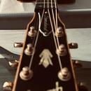 GIBSON Songwriter Deluxe EC Standard (2010)
