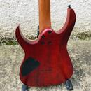 Ibanez RGEW521FM-NTF Exotic Wood – DiMarzio & Roasted Maple