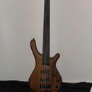 Mayones BE5 fretless