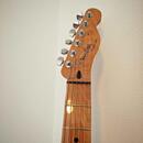 Olympic white nitro tele + fender krk + EMG