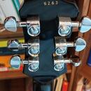 Epiphone Les Paul Custom + EMG