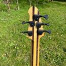 Custom bass 5 string´s (Miloš Kaiser)