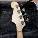 Precision bass Rohlík