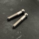 Music Man Bridge Pivot Screws (2pcs)