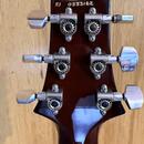 ! SLEVA - Kytara PRS Custom 24 Fire Smokeburst 