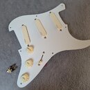 EMG DG-20