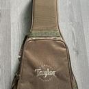 Taylor GS Mini Rosewood + příslušenství