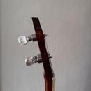 Richwood RMB-905-A 5 String Banjo