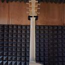 Gibson Les Paul Studio