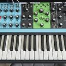 moog matriarch