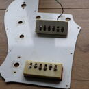 Jolana Star V
