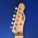 El. kytara typu Telecaster zn. Fokus-H